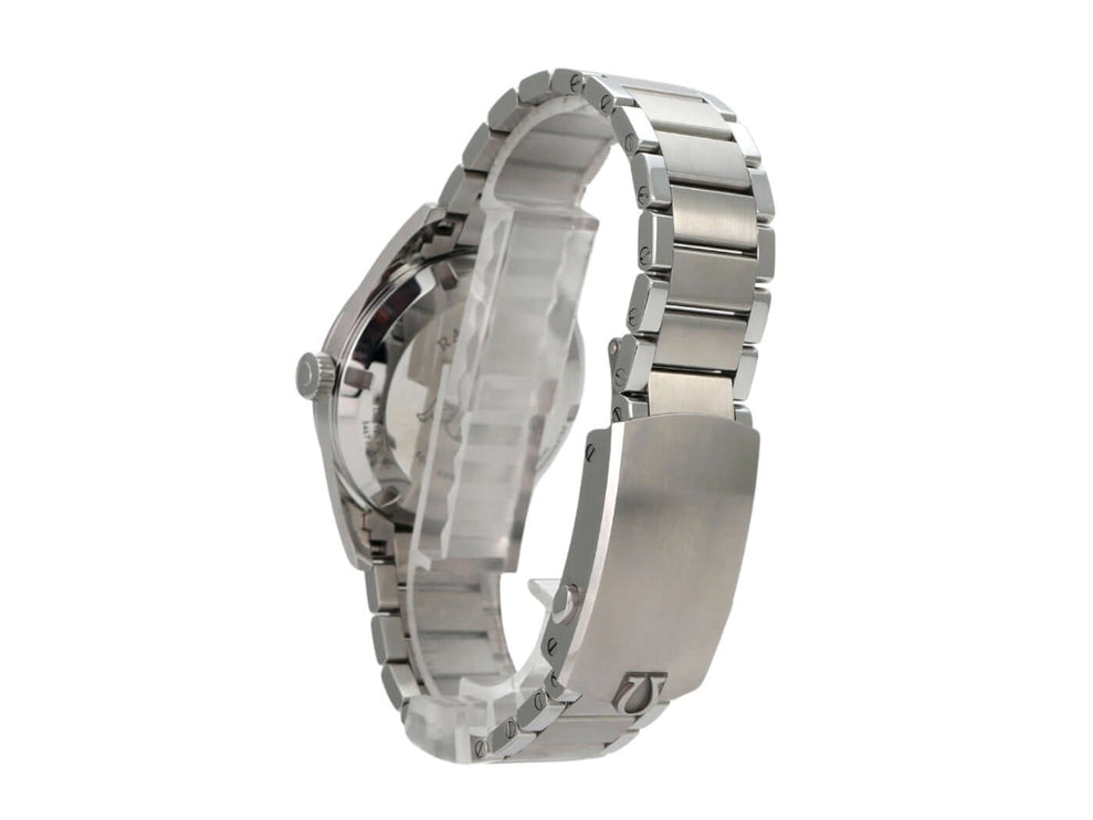 OMEGA Seamaster Railmaster Co-Axial Master Chronometer 220.10.38.20.01.002 Edelstahlarmband und Gehäuseansicht