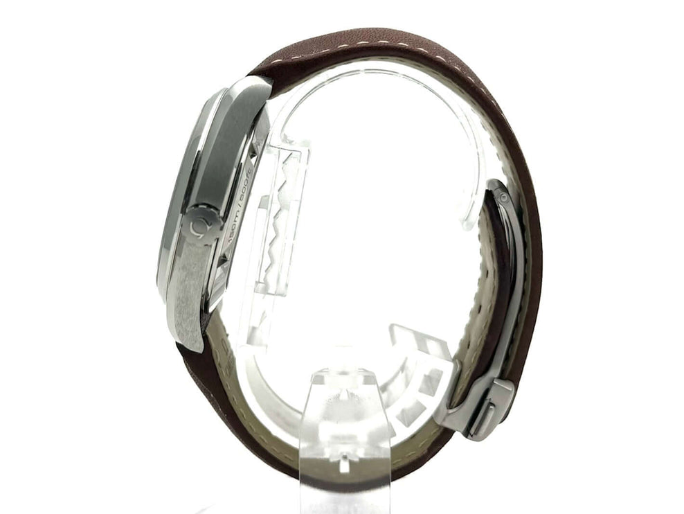 Seitenansicht der Omega Seamaster Aqua Terra 15.000 Gauss 231.12.42.21.01.001 mit braunem Lederarmband und Edelstahlgehäuse