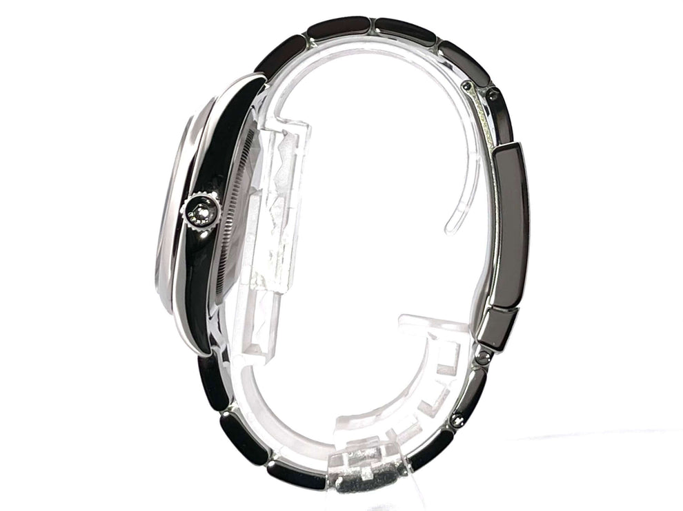 116000-silber-2008-100-5