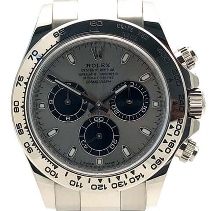 116509-grau-2019-286