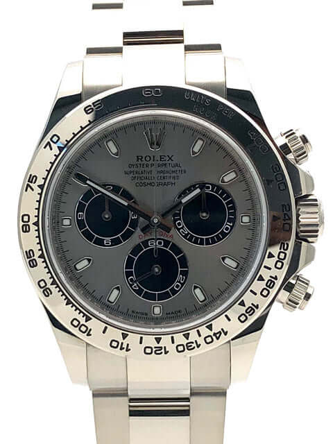 116509-grau-2019-286