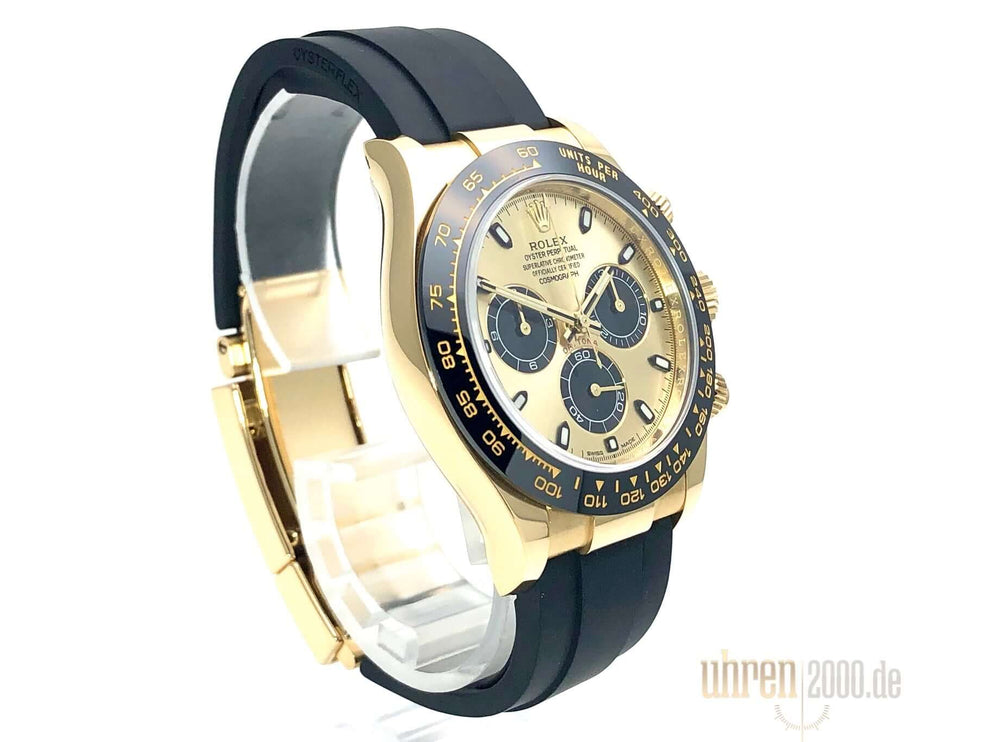 116518LN-2019-100-champ-2