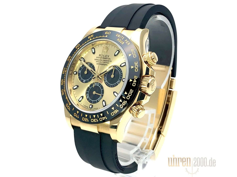 116518LN-2019-100-champ-3