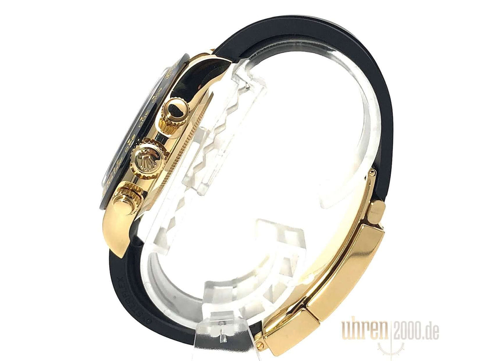 116518LN-2019-100-champ-4