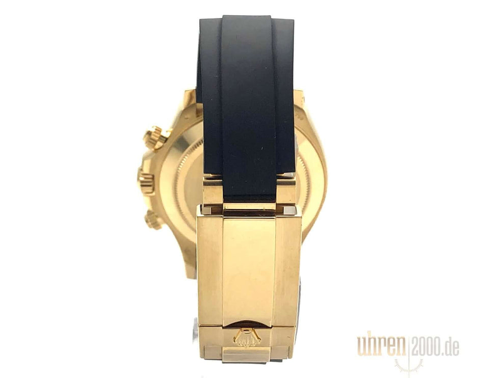 116518LN-2019-100-champ-7