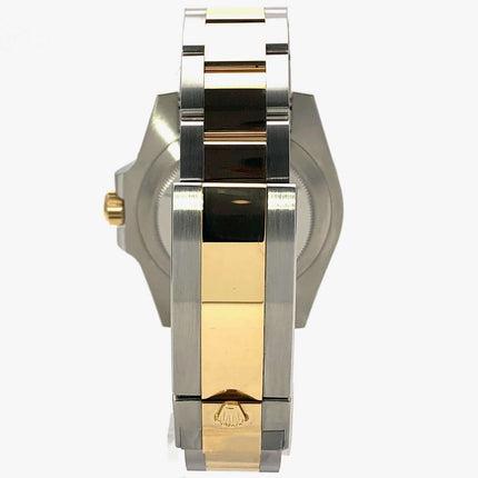 116613LN-100-6-2013-7eDJSrcuGdbsE3