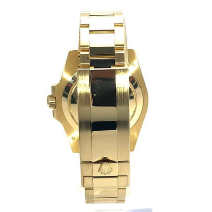 116618LB-2010-100-7yXnvBz9VIIP2y