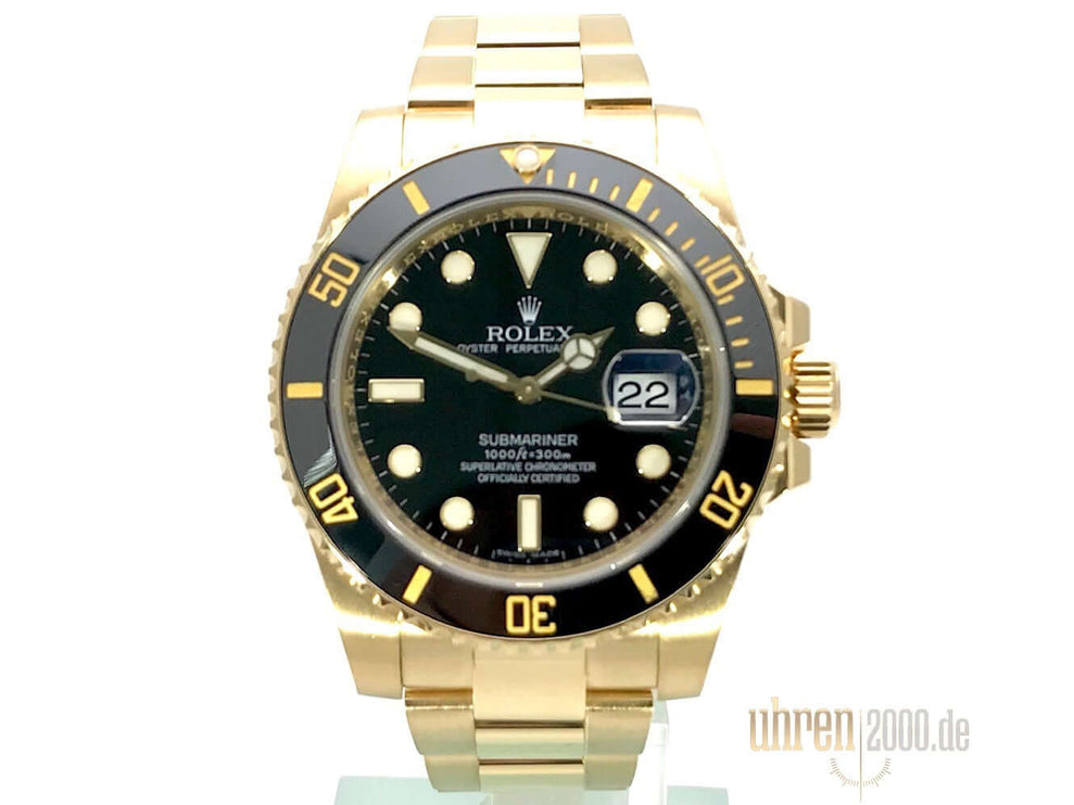 116618LN_2010_LC100_1