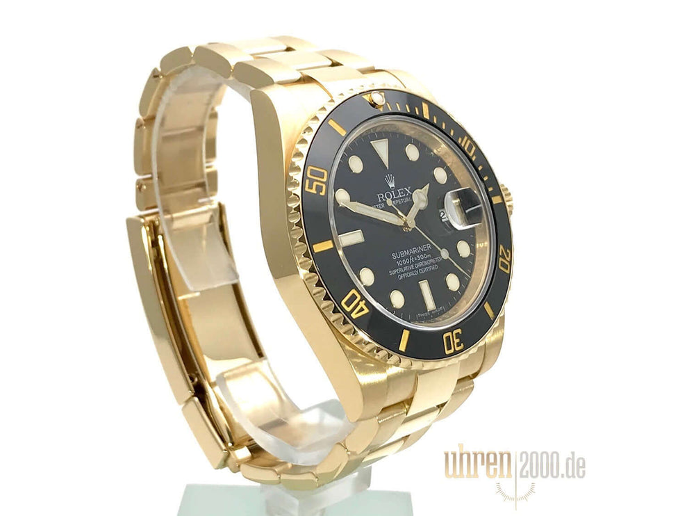 116618LN_2010_LC100_2