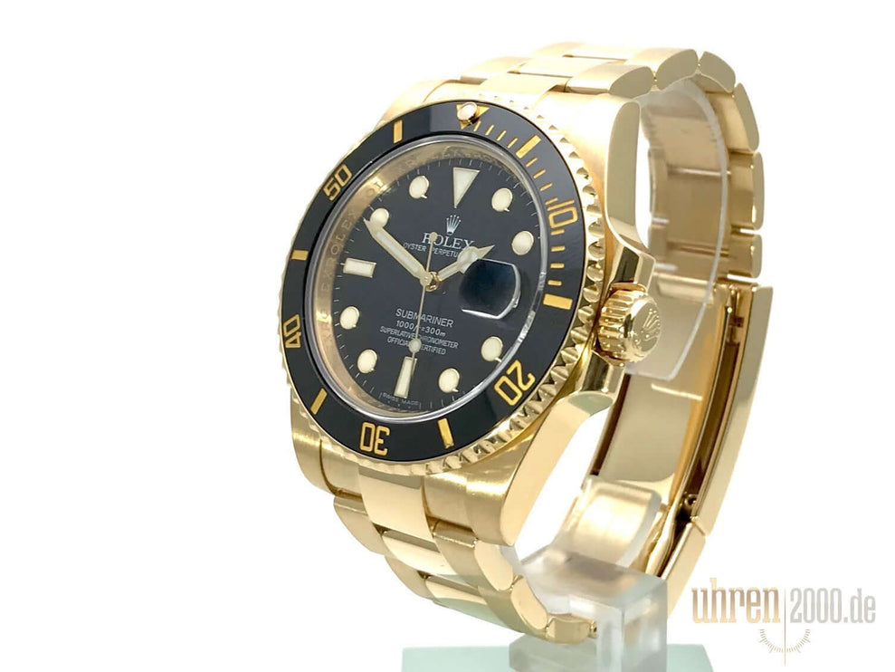 116618LN_2010_LC100_3