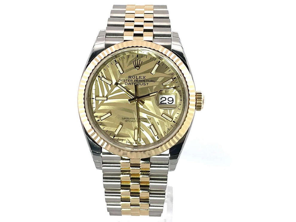 126233-palmen-jub-2022-v-1