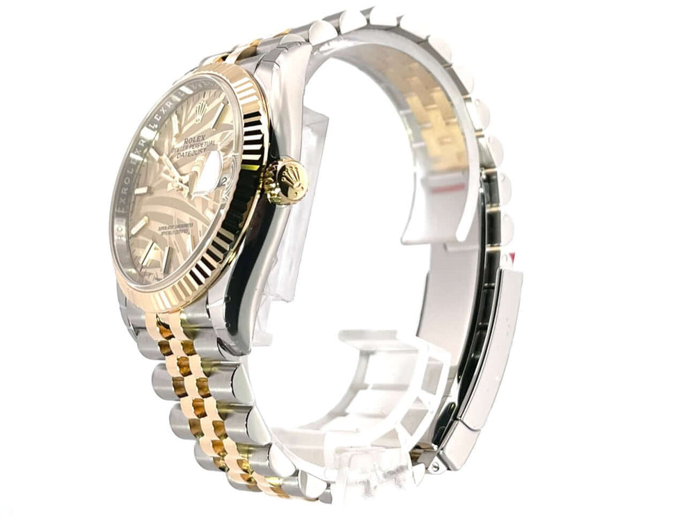 126233-palmen-jub-2022-v-2