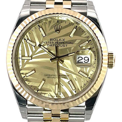 126233-palmen-jub-2022-v