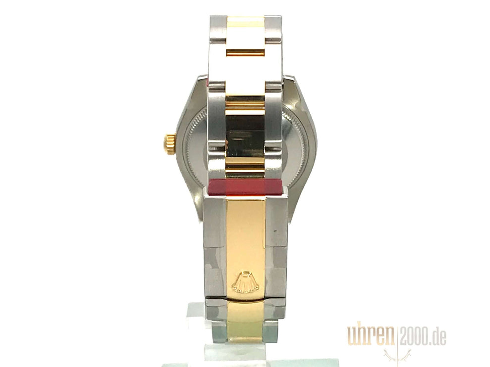 178273-champ-index-oyster-5