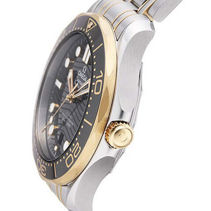 210-20-42-20-01-002-1