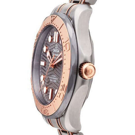 210-60-42-20-99-00-3