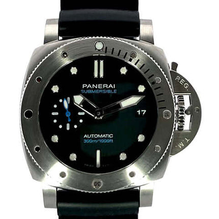PAM02973-1