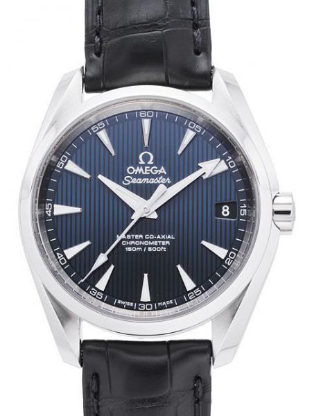 Omega Seamaster Aqua Terra Master Co-Axial Chronometer Ref. 231.13.39.21.03.001